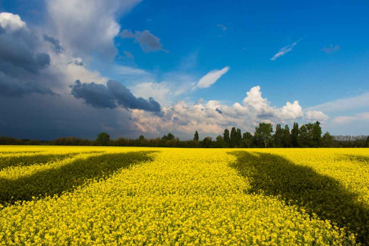 UKRAINE : La CFDT&nbsp;Solidaire